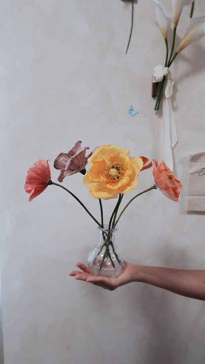 A Love Letter to Poppy