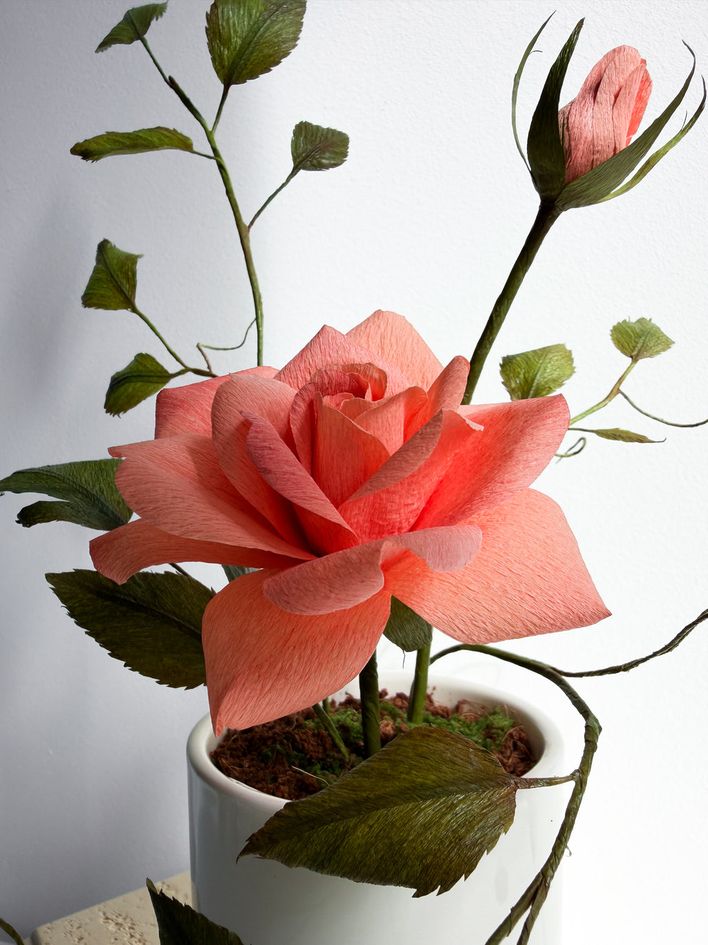 Coral Whisper